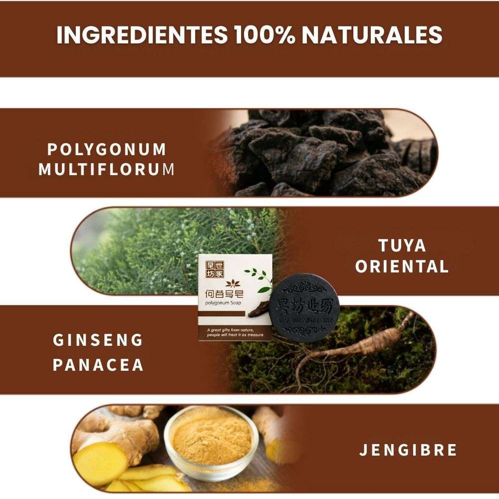 Polygonum Soap®🫚Shampoo en barra Anticanas: Paga 1 y Lleva 2 ¡Super Oferta SOLO POR HOY🚀40% de Descuento!